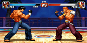 PS2 Fighting Games